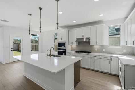 347 Alpine Lakes New Braunfels TX 78130