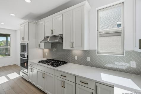 347 Alpine Lakes New Braunfels TX 78130