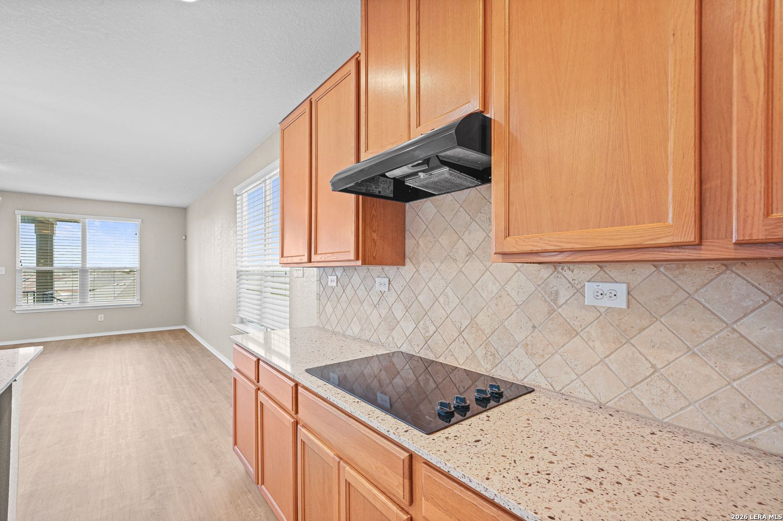225 Landmark Way Cibolo TX 78108