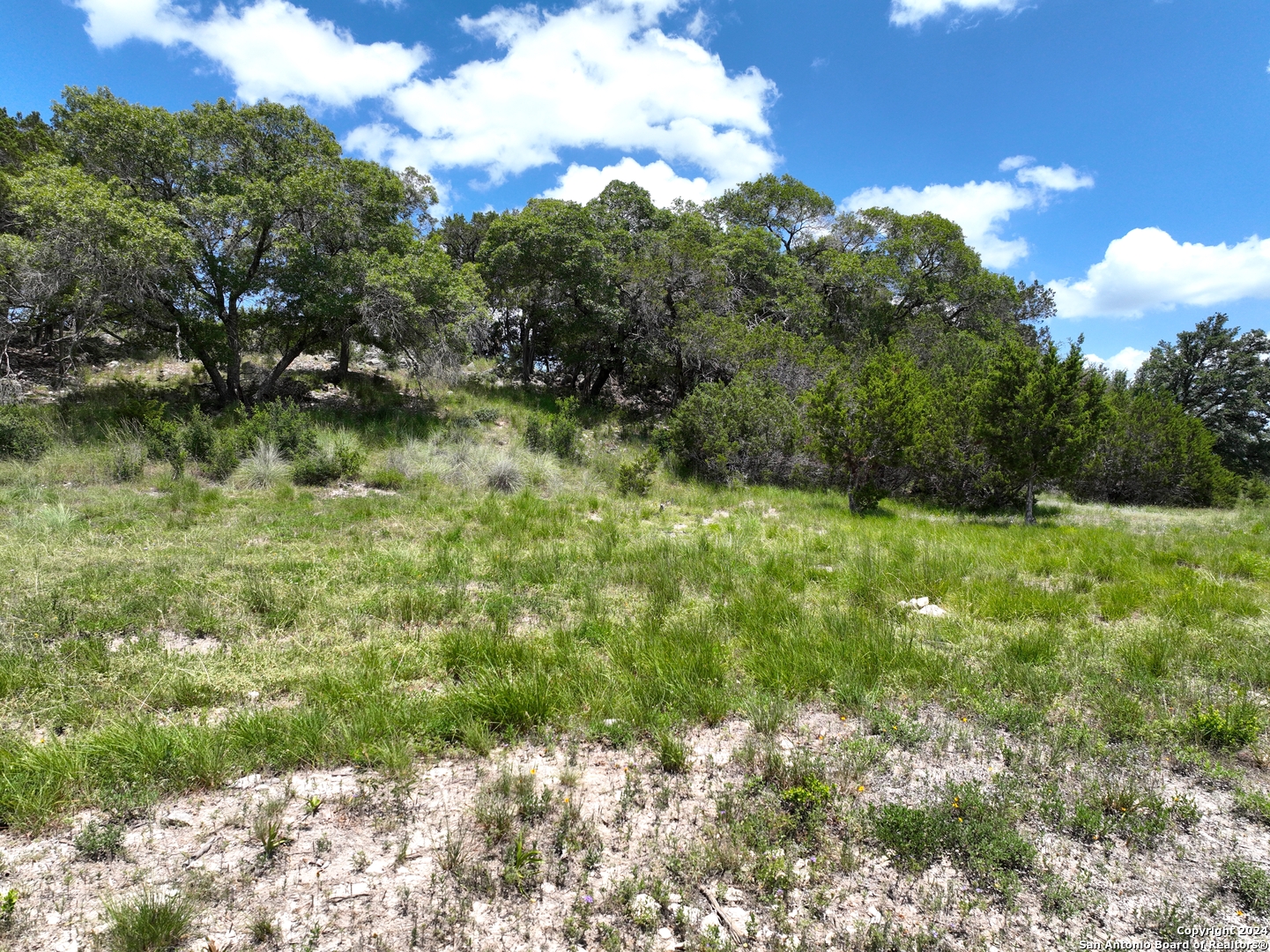 329 Arthur Court Spring Branch TX 78070