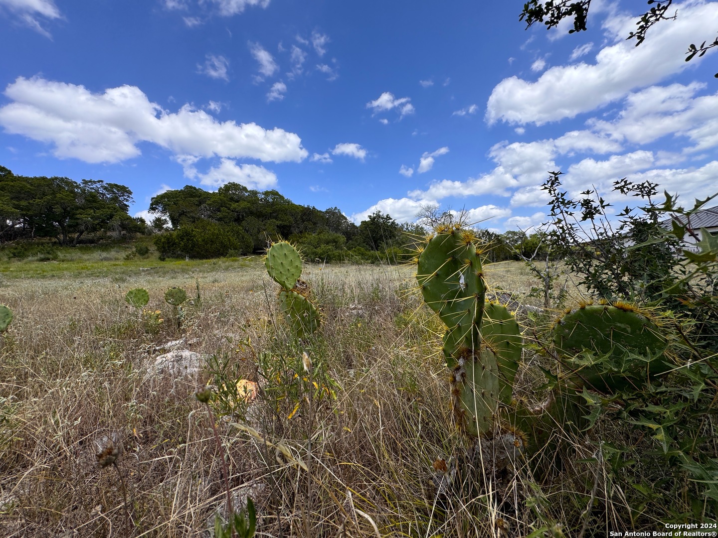 329 Arthur Court Spring Branch TX 78070