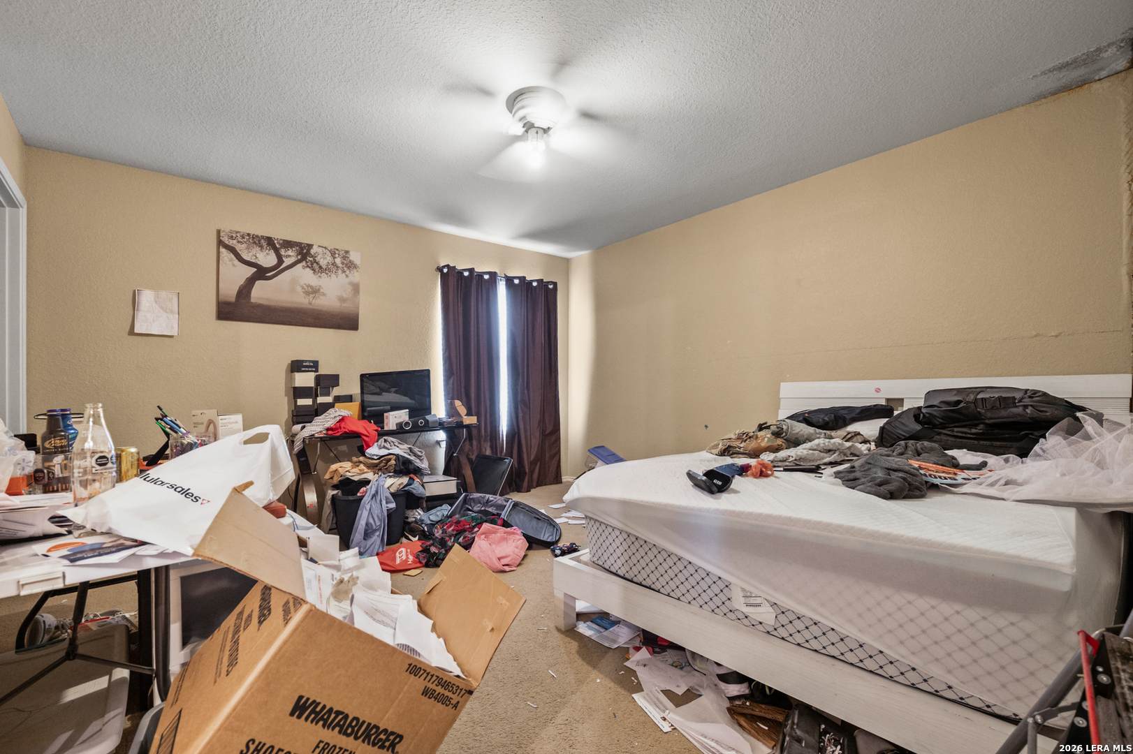 4126 Bear Oak San Antonio TX 78223