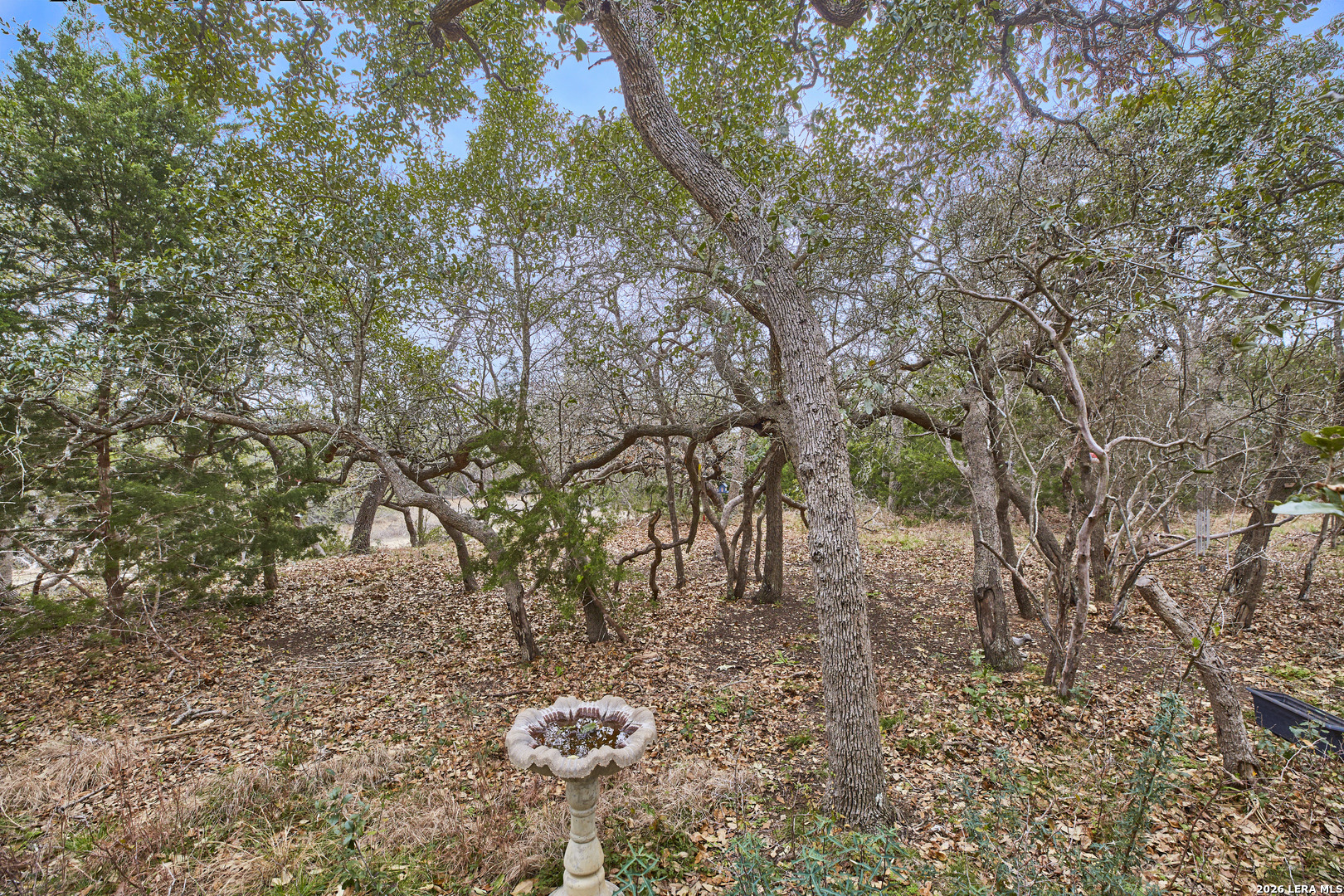 3051 Blenheim Park Bulverde TX 78163