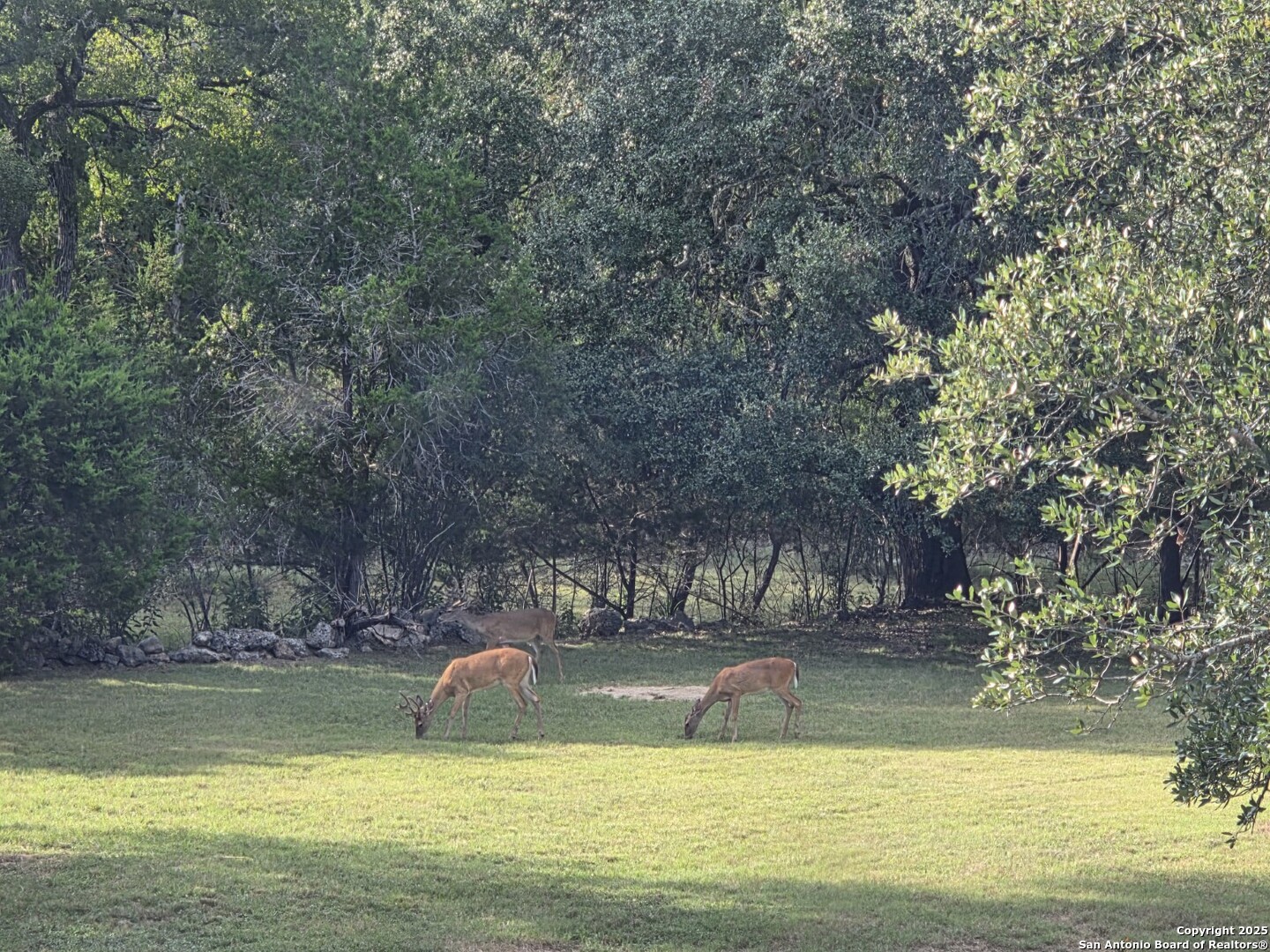 501 River Mountain Drive Boerne TX 78006