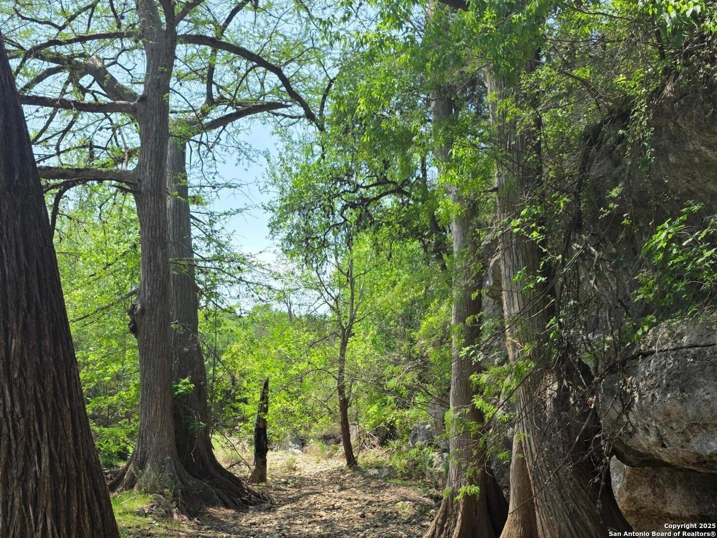 501 River Mountain Drive Boerne TX 78006