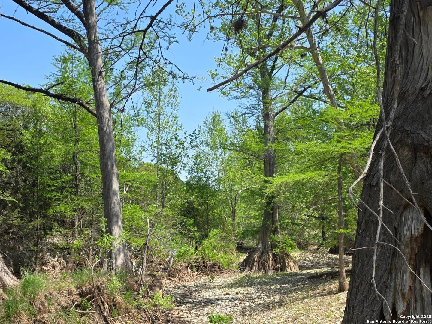 501 River Mountain Drive Boerne TX 78006