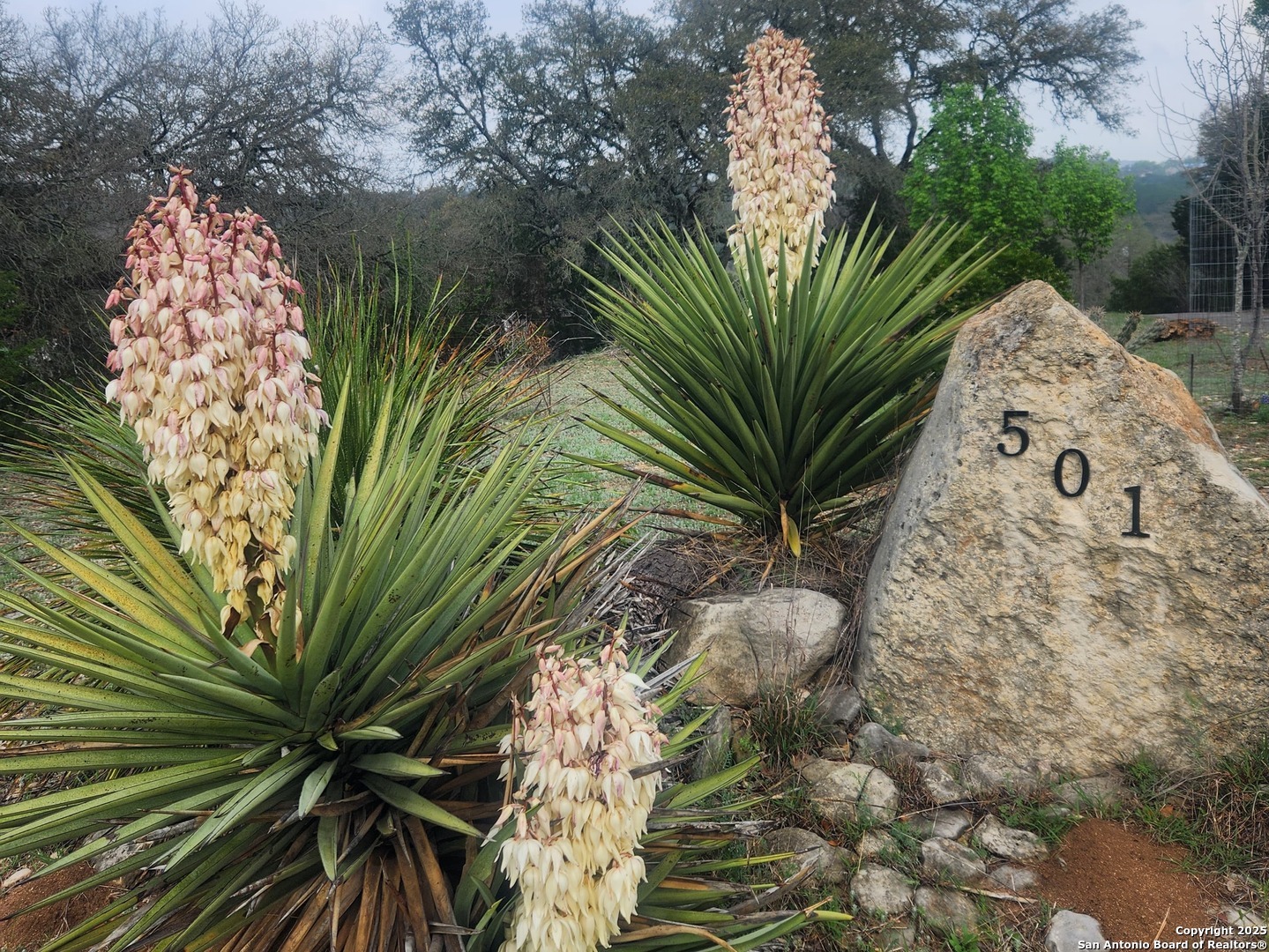 501 River Mountain Drive Boerne TX 78006