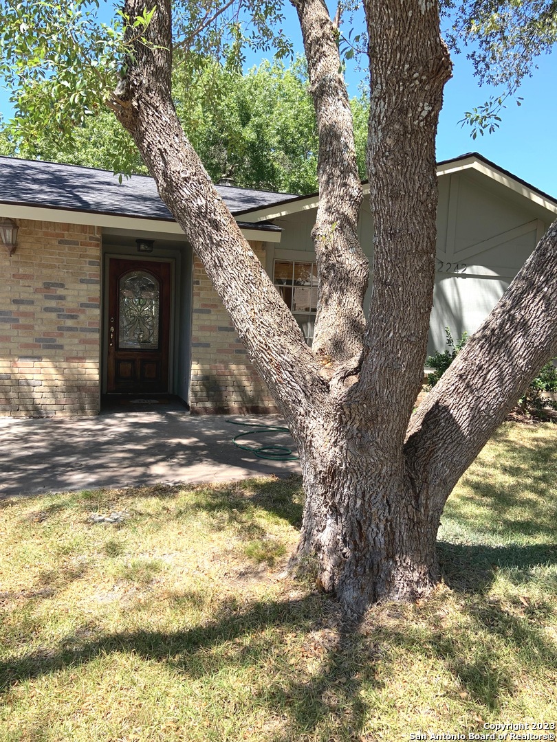 12242 Brownstone Street Live Oak TX 78233