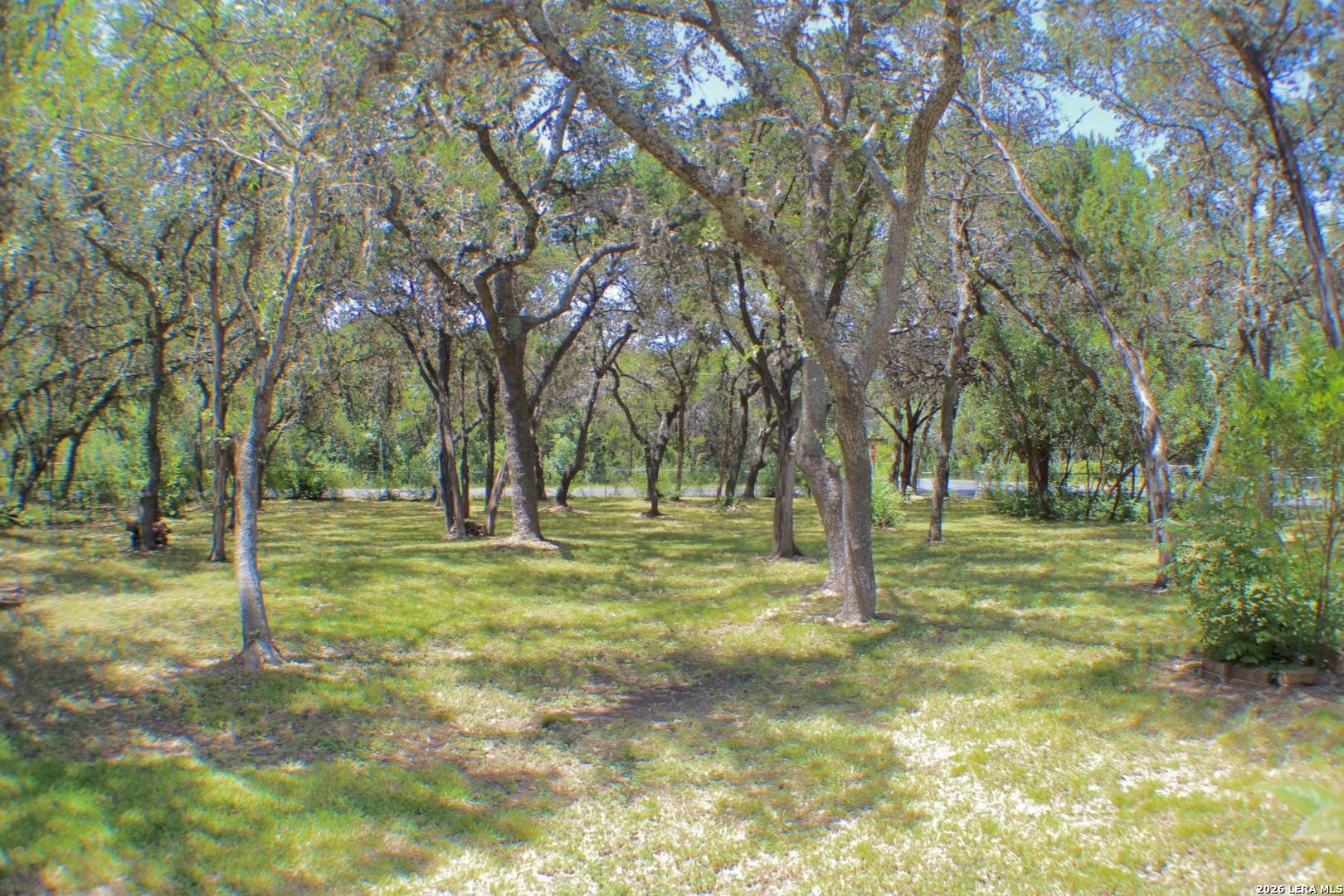 10950 Paloma Helotes TX 78023