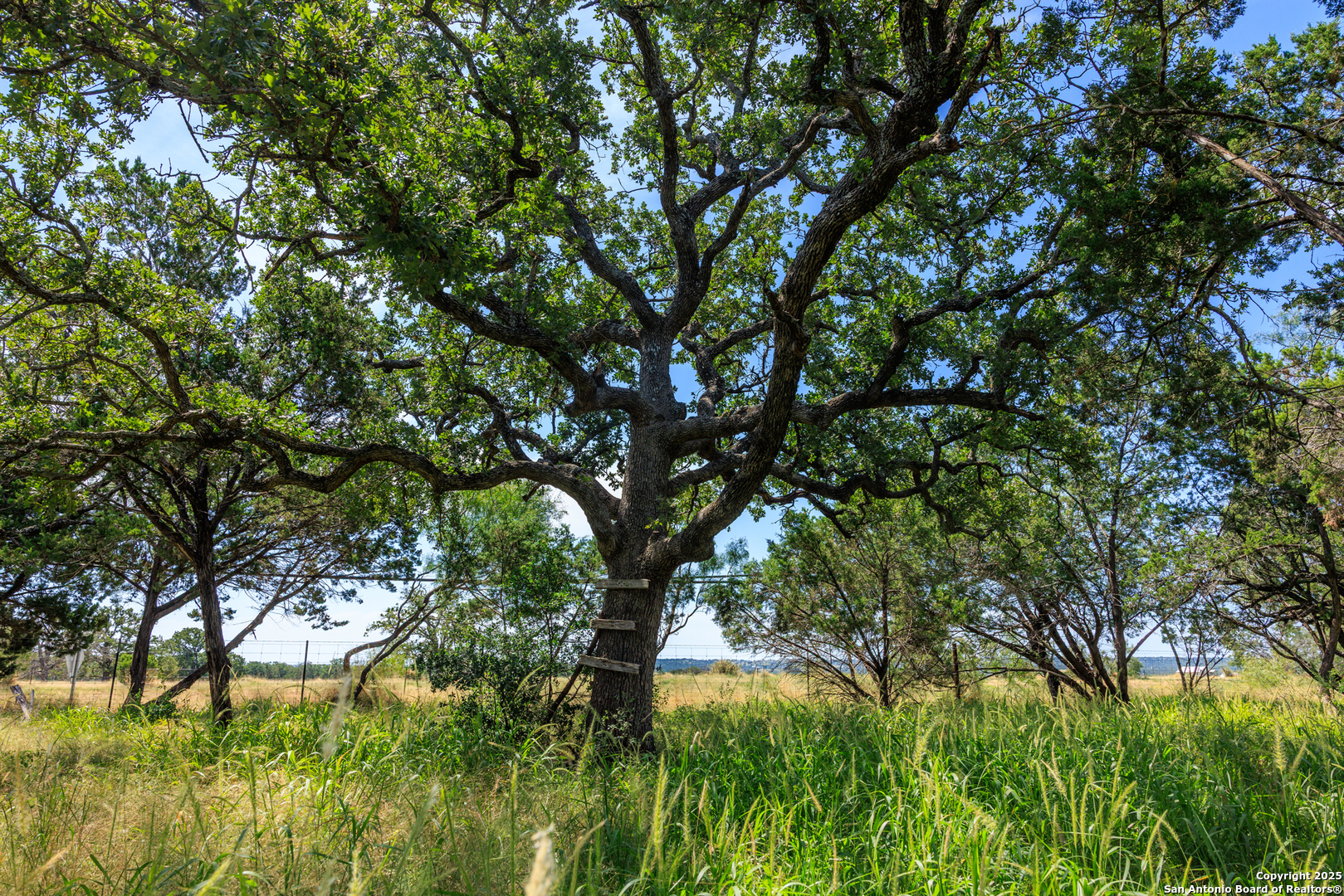 3936 S State Highway 16 Fredericksburg TX 78624