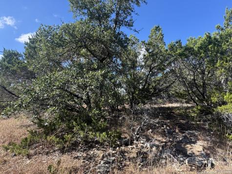 217 Breeze Point Fischer TX 78623