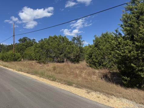 217 Breeze Point Fischer TX 78623