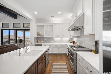 23427 Grande Vista San Antonio TX 78261