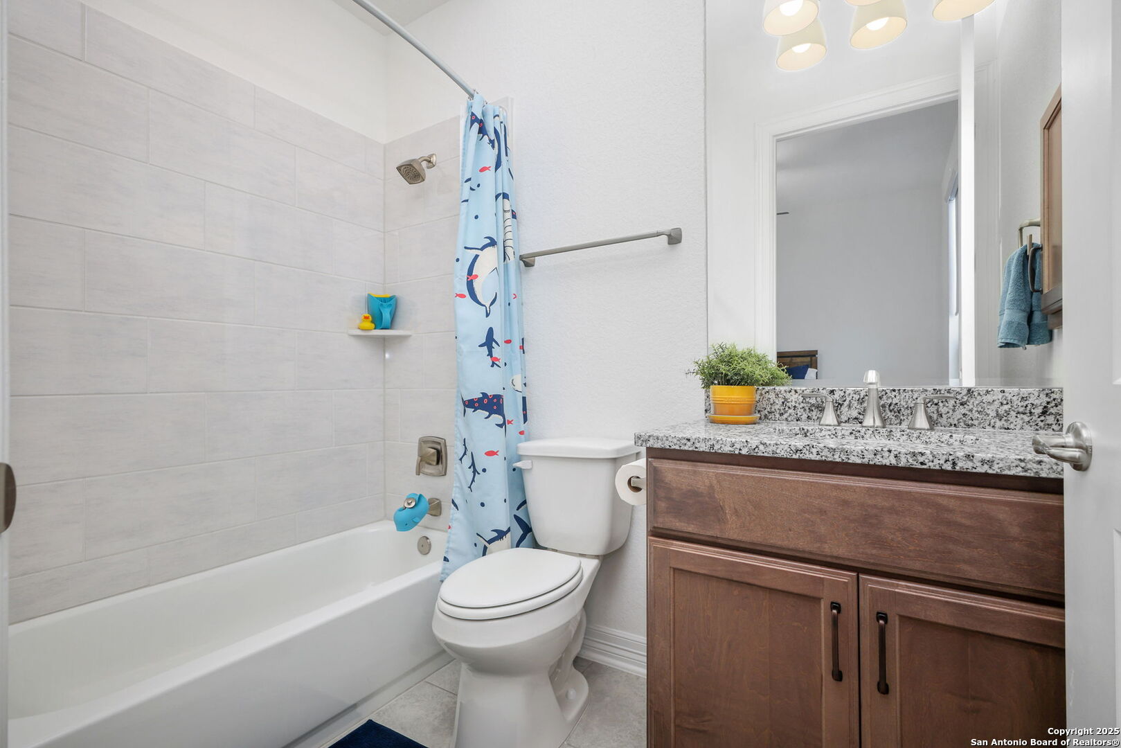 23427 Grande Vista San Antonio TX 78261