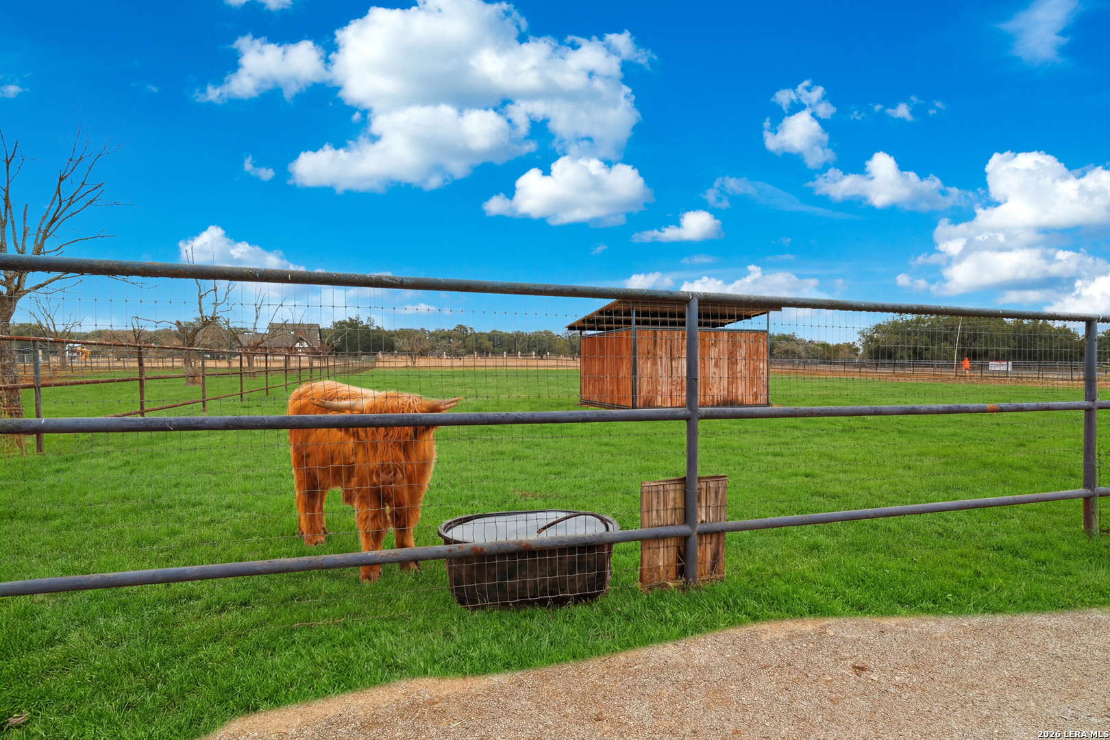 7380 Rolling Acres Trail Fair Oaks Ranch TX 78015