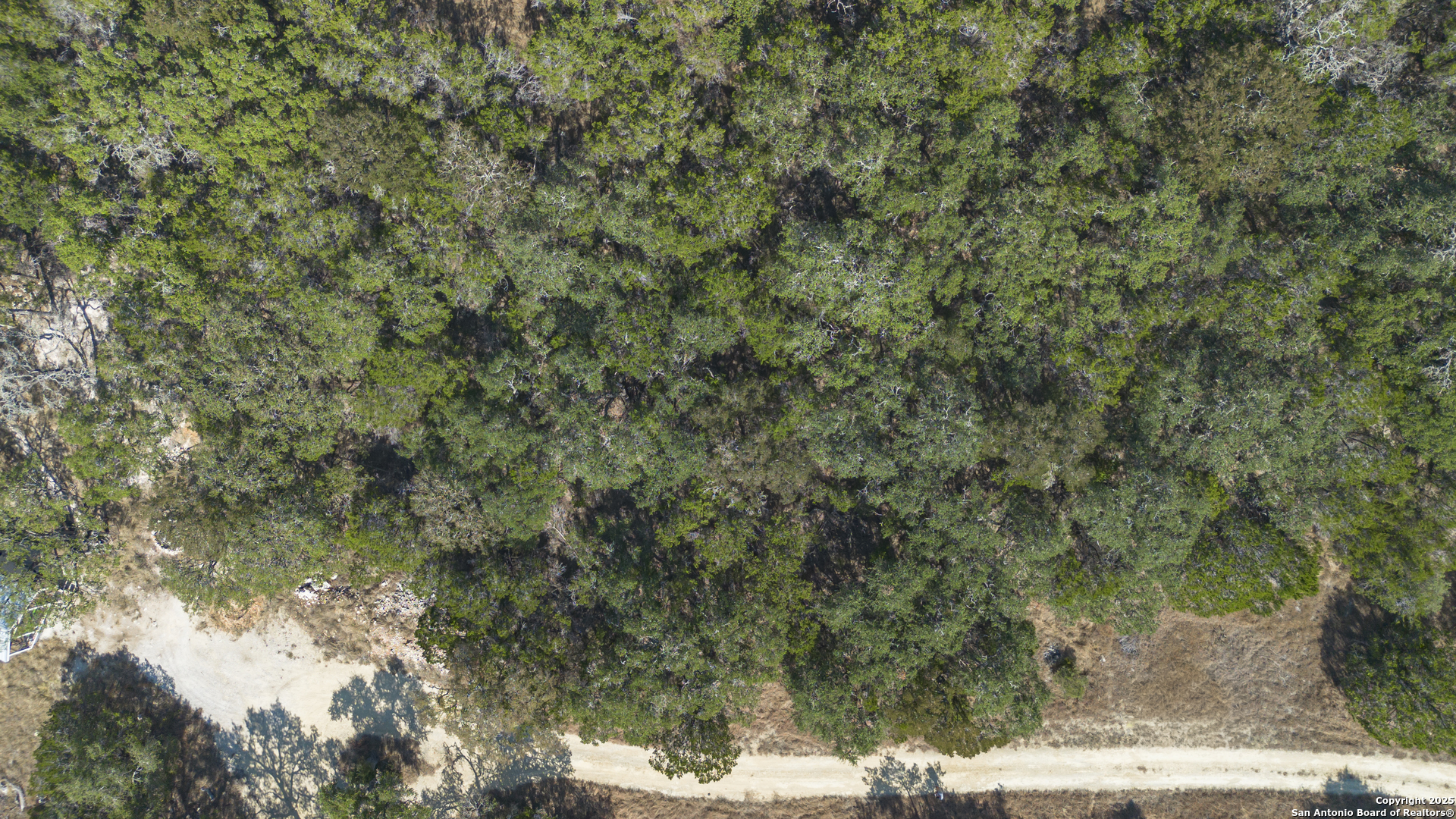 154 Fore Spring Branch TX 78070