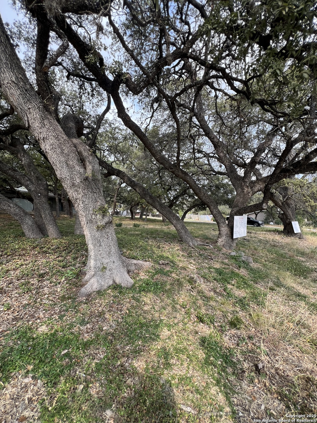 11811 Orsinger Lane San Antonio TX 78230