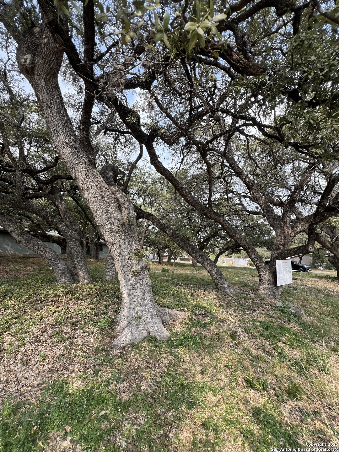 11811 Orsinger Lane San Antonio TX 78230