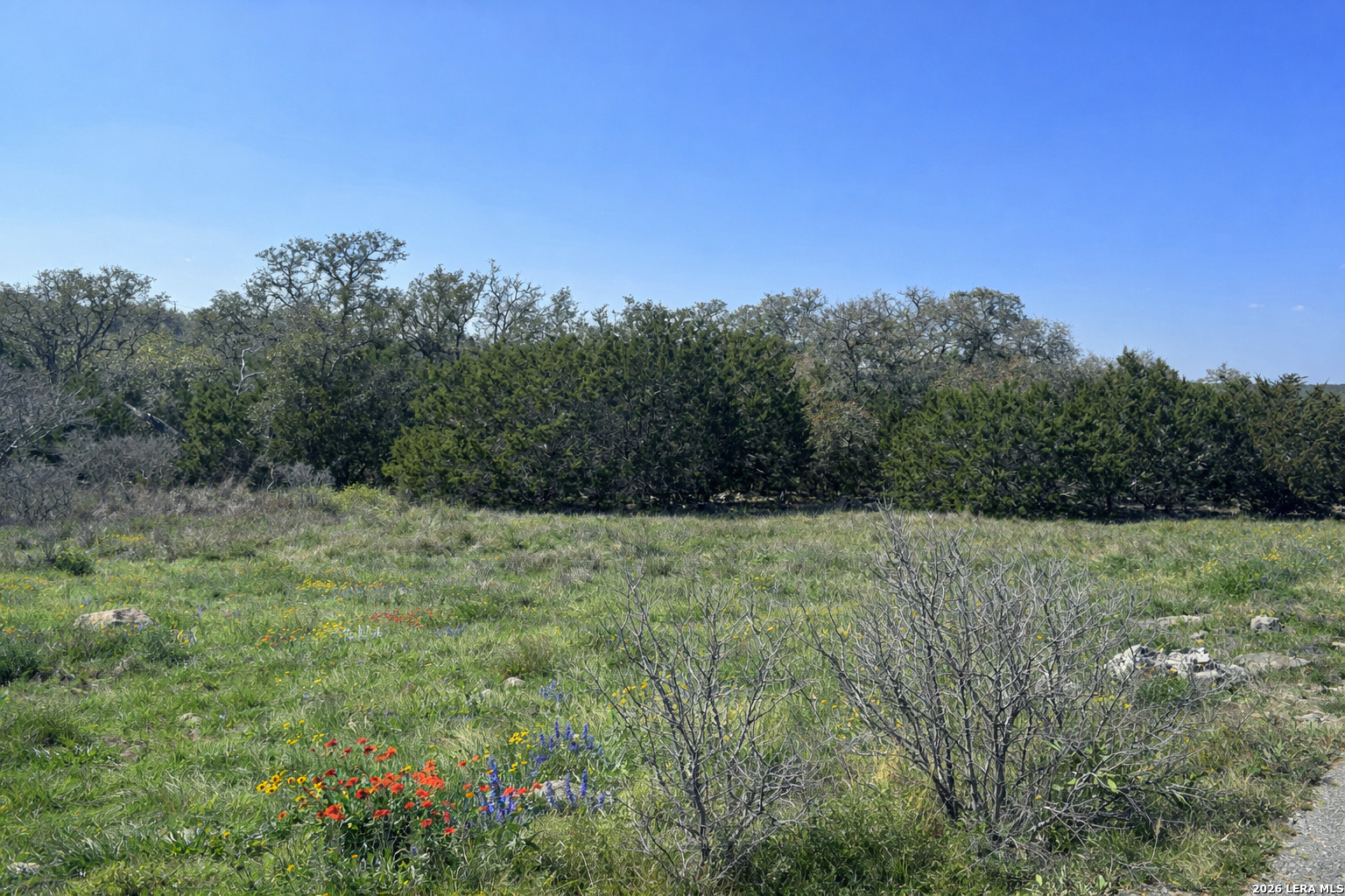 1526 Bolognese New Braunfels TX 78132