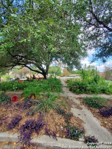 107 Shadywood Lane San Antonio TX 78216