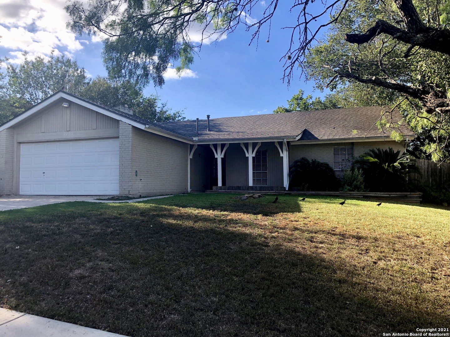 7833 Lazy Forest Street Live Oak TX 78233