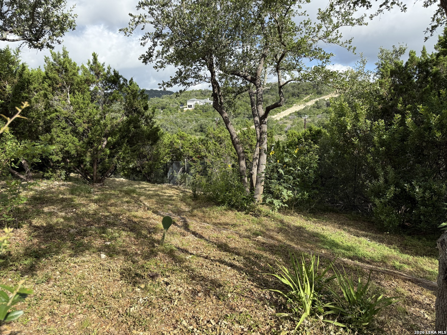 18806 Canyon View Pass Helotes TX 78023