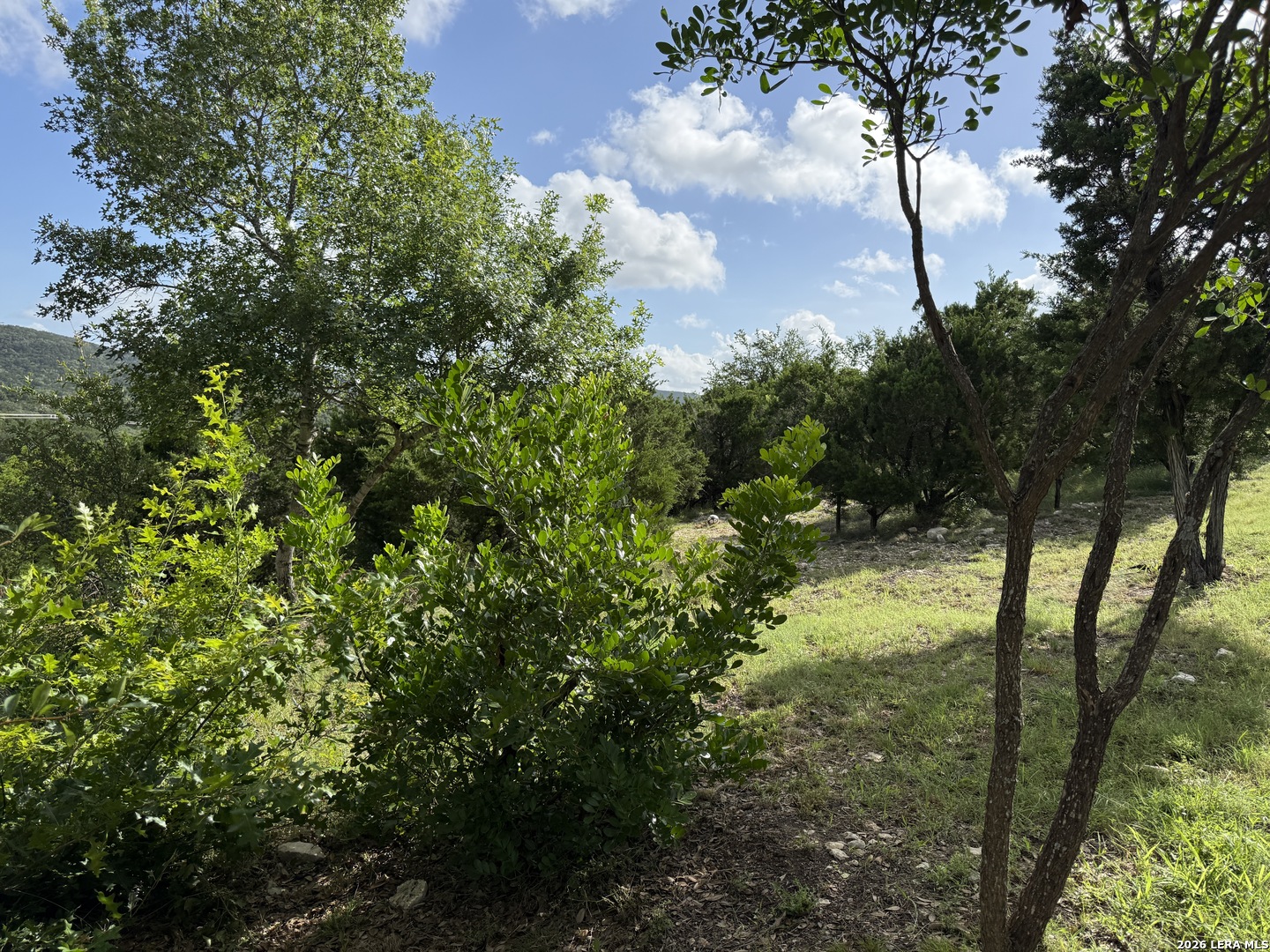 18806 Canyon View Pass Helotes TX 78023