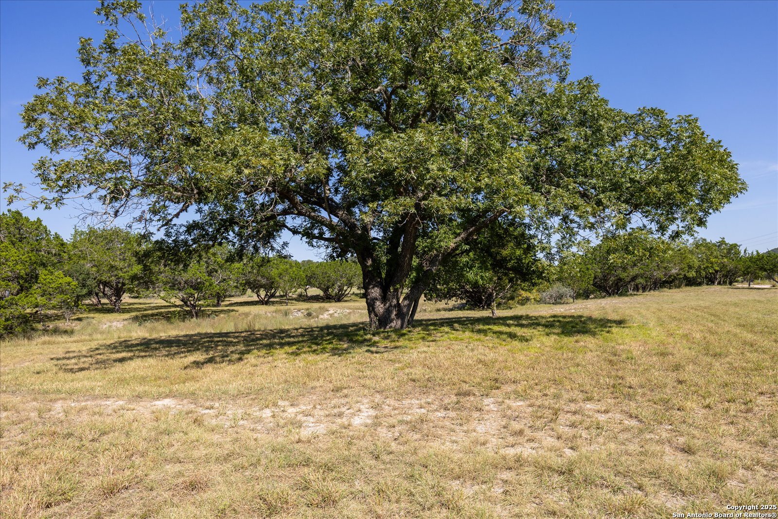 363 Elm Pass II Road Center Point TX 78010