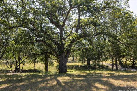 363 Elm Pass II Road Center Point TX 78010