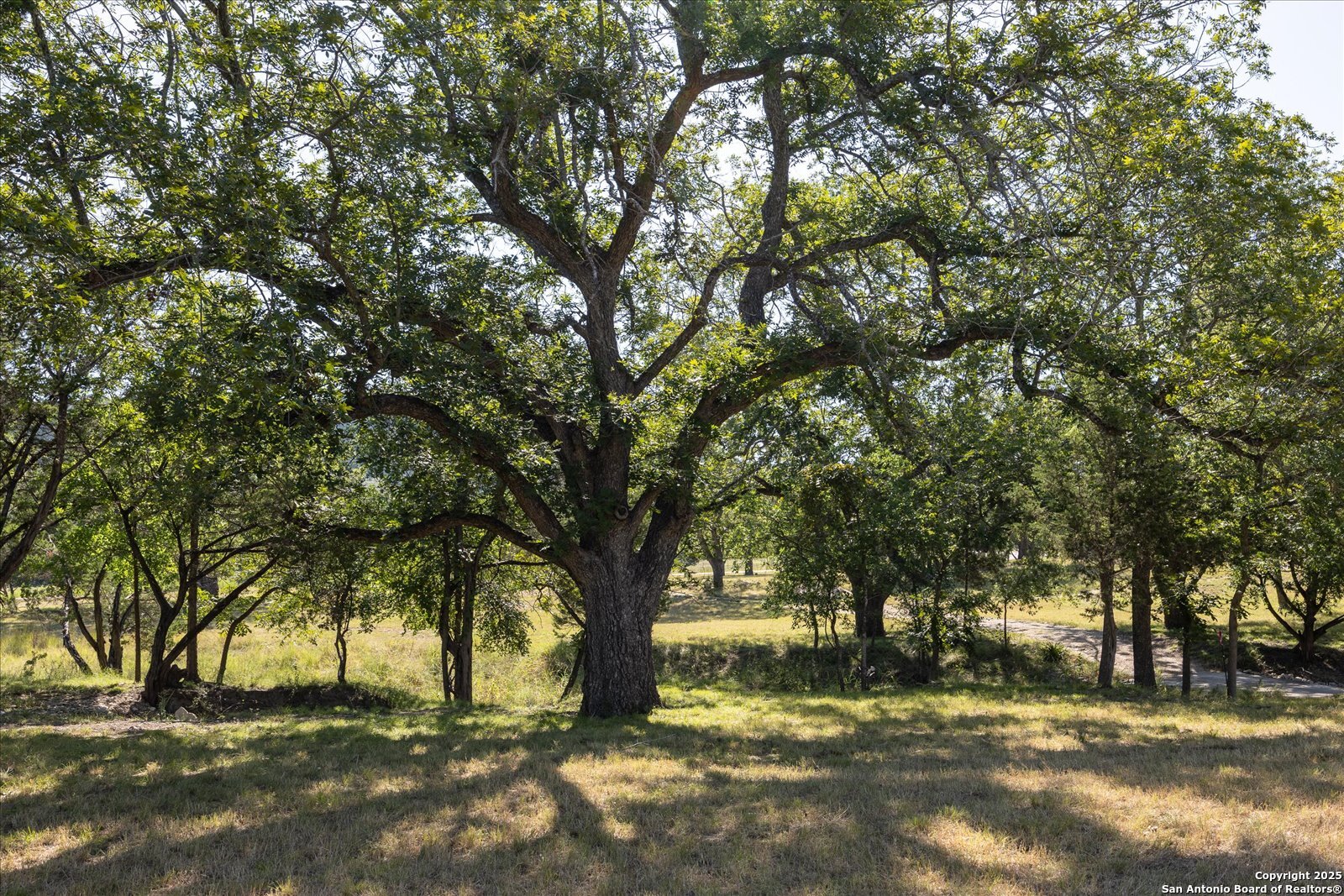 363 Elm Pass II Road Center Point TX 78010