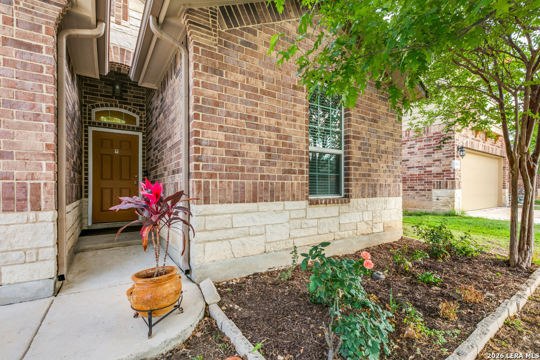 8512 Samsel Falls San Antonio TX 78254