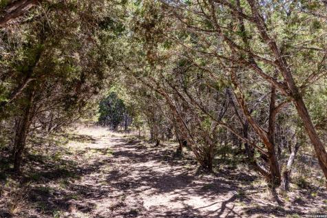 113 Springbranch Drive Kerrville TX 78028