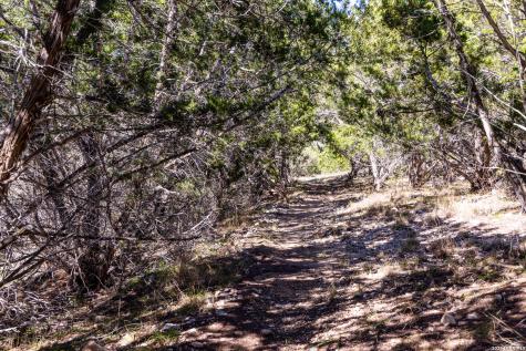 113 Springbranch Drive Kerrville TX 78028
