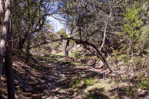 113 Springbranch Drive Kerrville TX 78028