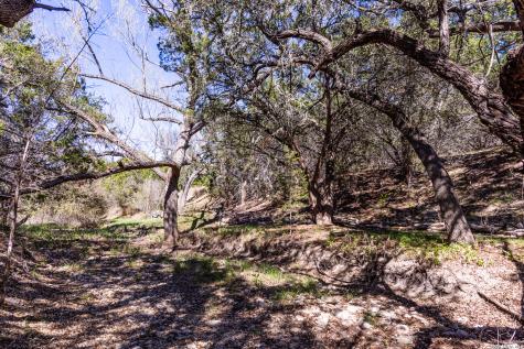 113 Springbranch Drive Kerrville TX 78028
