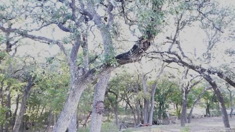 849 Tamarack Canyon Lake TX 78133