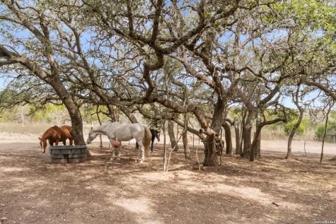 585 English Hollow Bandera TX 78003
