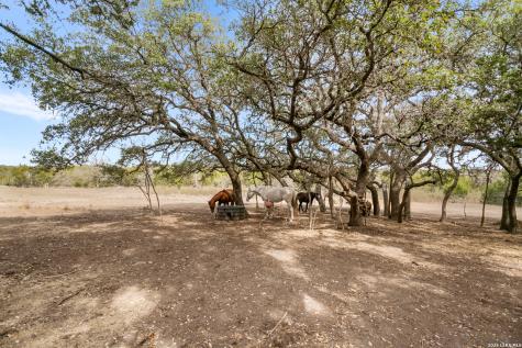 585 English Hollow Bandera TX 78003