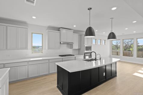 171 Desert Bloom San Antonio TX 78253