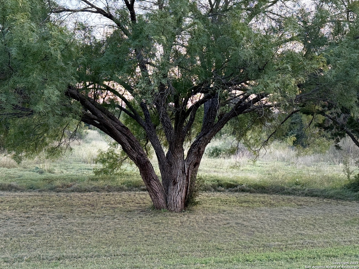 2 Cardinal Drive Camp Wood TX 78833
