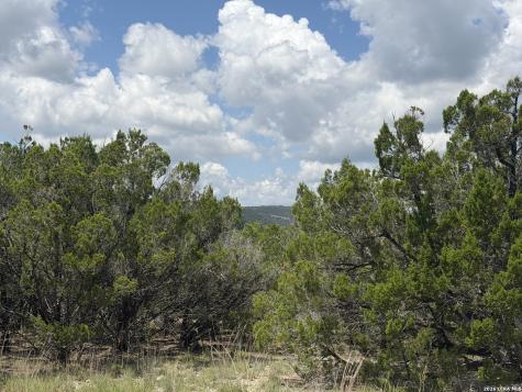 343 Live Oak Tarpley TX 78883