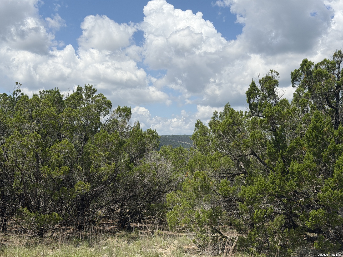 343 Live Oak Tarpley TX 78883