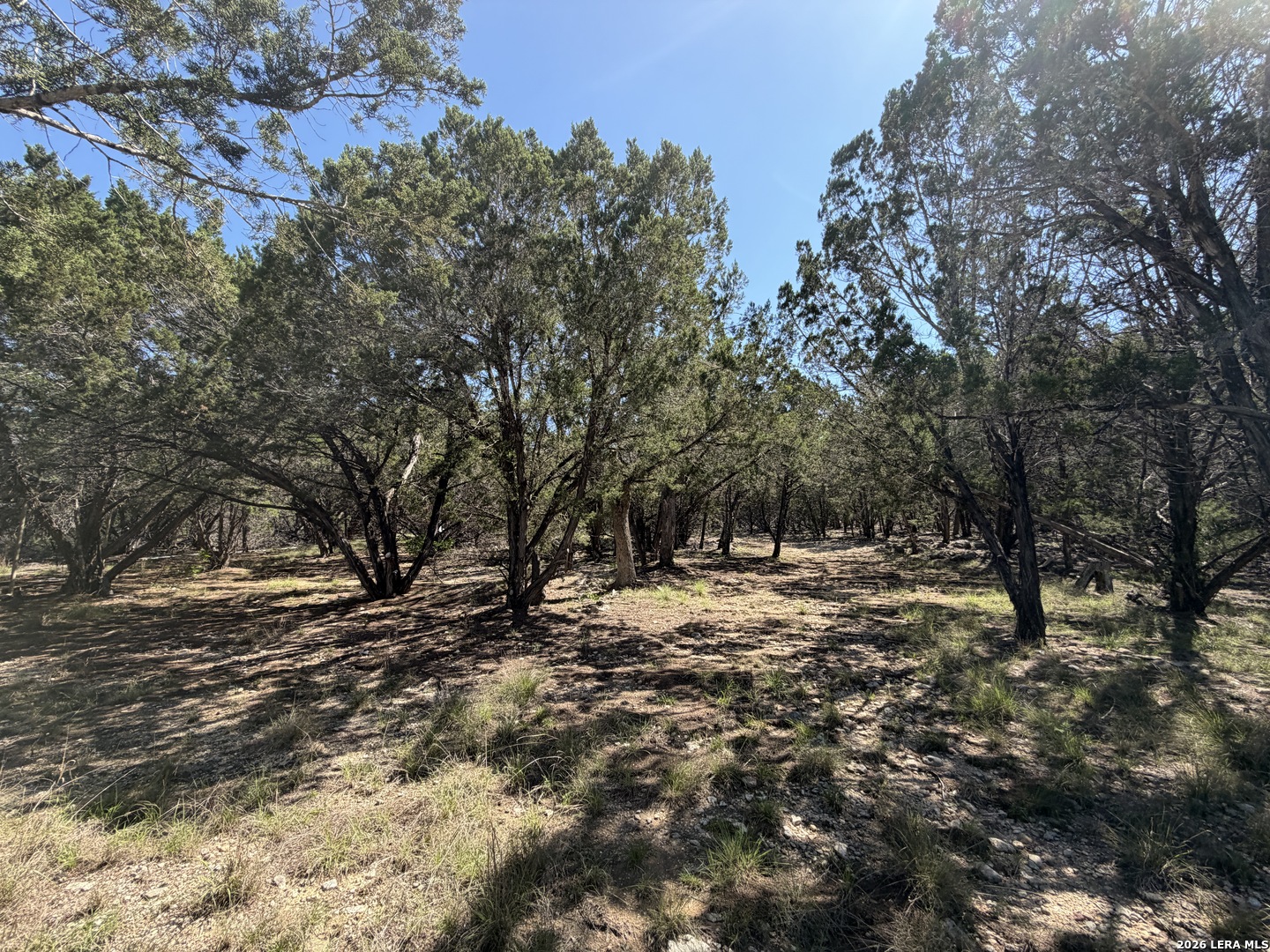 343 Live Oak Tarpley TX 78883