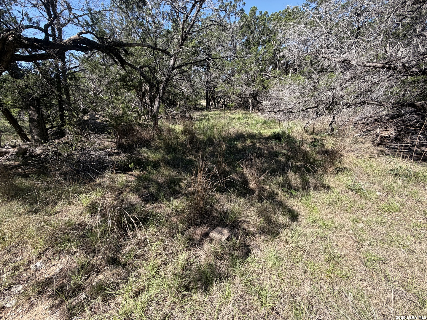 343 Live Oak Tarpley TX 78883