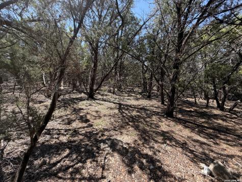 343 Live Oak Tarpley TX 78883
