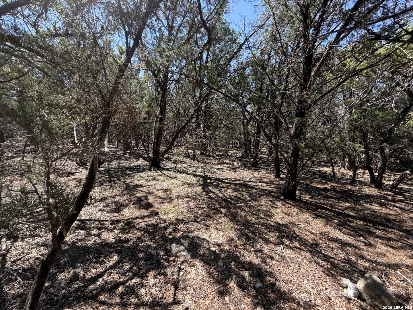343 Live Oak Tarpley TX 78883
