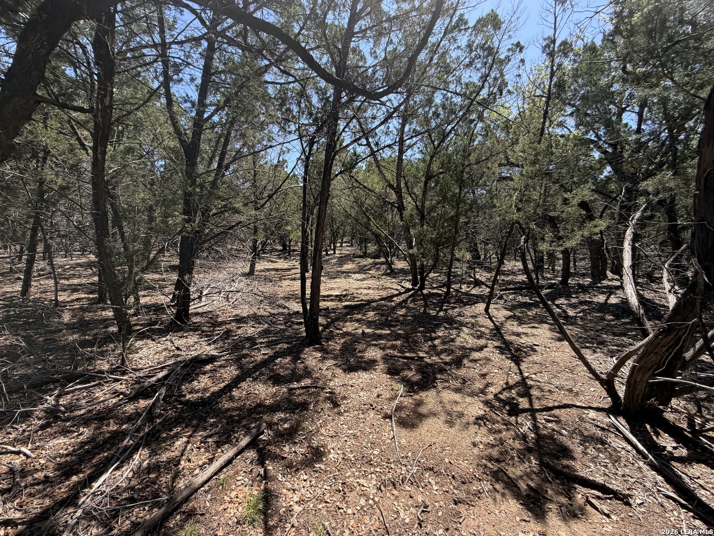 343 Live Oak Tarpley TX 78883