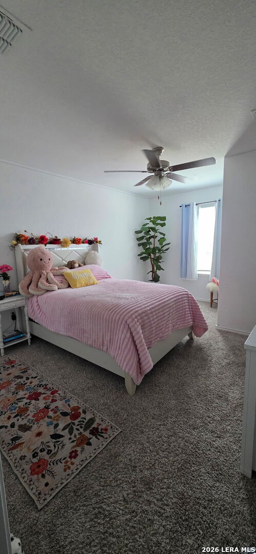 2517 Windle Lane Seguin TX 78155
