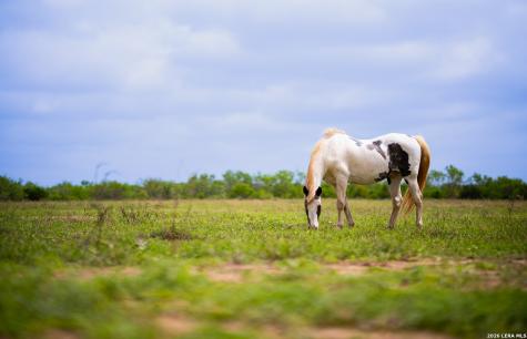 366 County Road 2543 Moore TX 78057