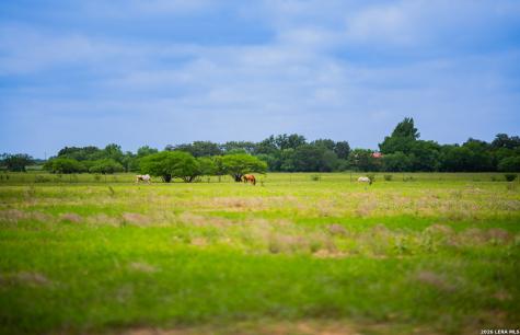 366 County Road 2543 Moore TX 78057